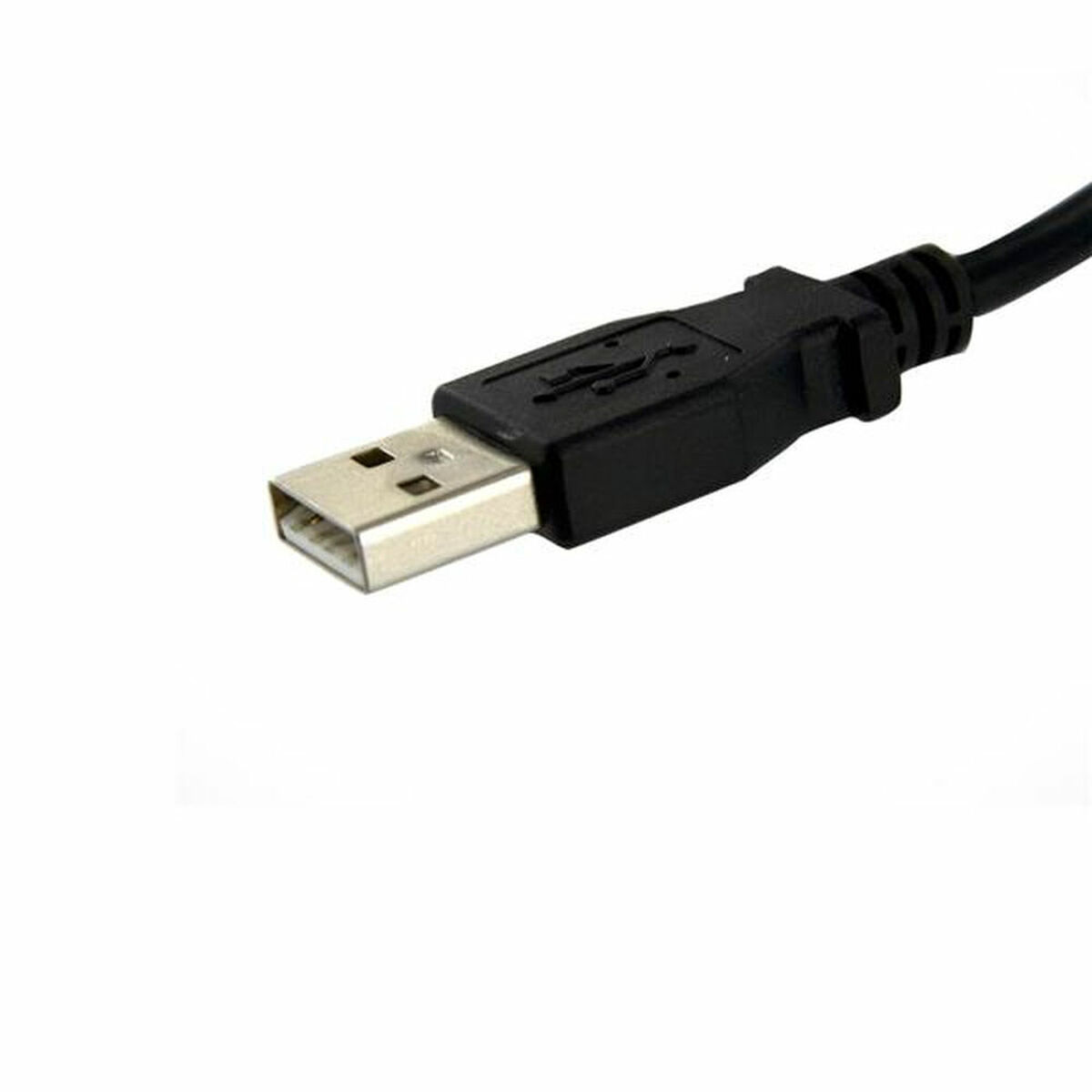 Câble USB Startech USBPNLAFAM1 USB A Noir